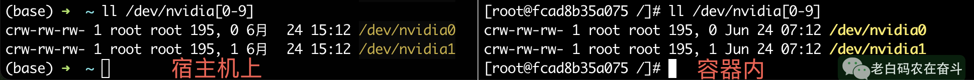 gpu-in-and-out-docker