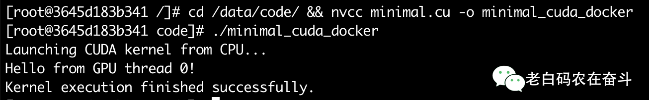 nvcc-inside-container