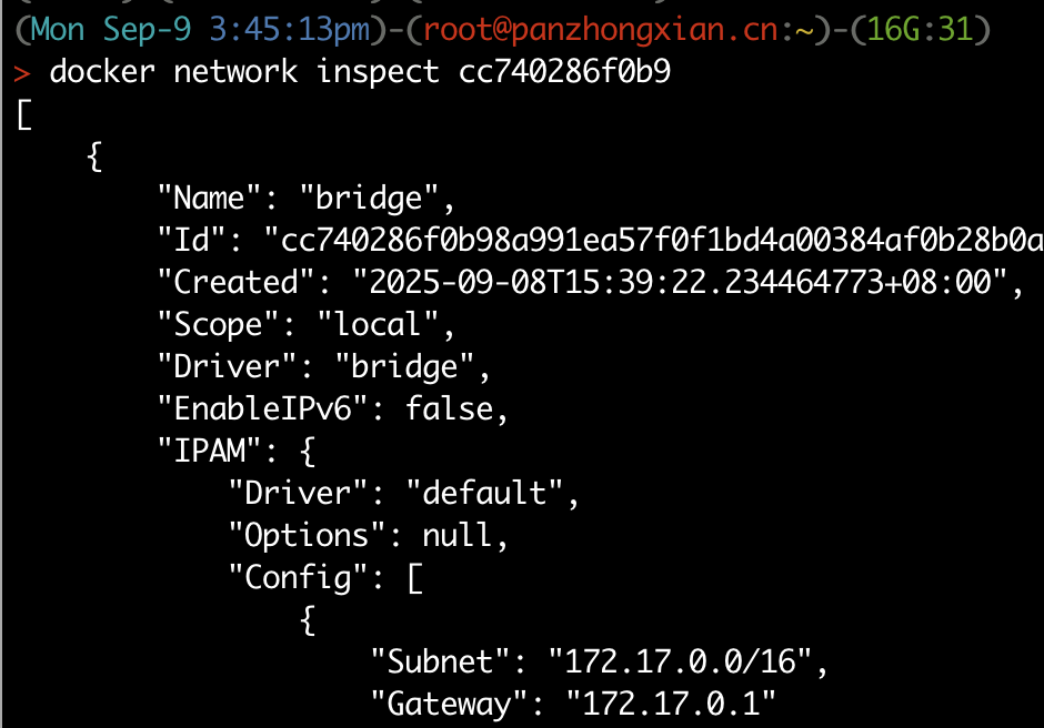 docker-network-inspect