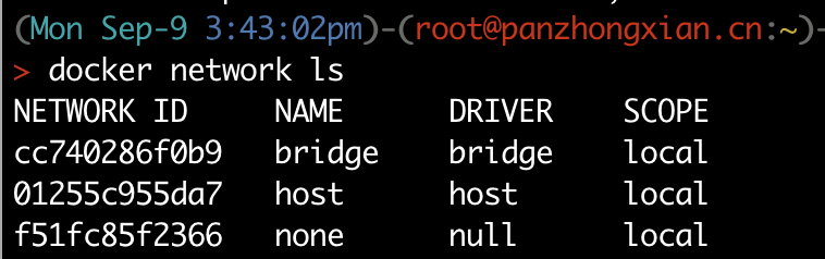 docker-network-ls